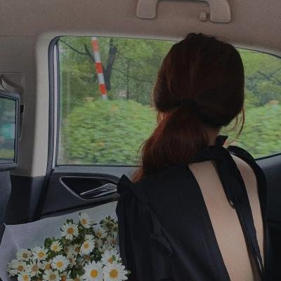 怪医杜立德：百万美元笨蛋